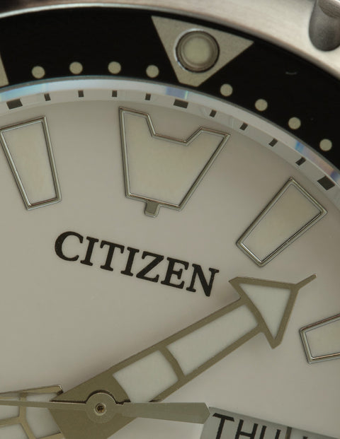 CITIZEN ASIA LIMITED PROMASTER NY011 COLLECTION, THE LARGER FUGU - by DEPLOYANT PETER CHONG