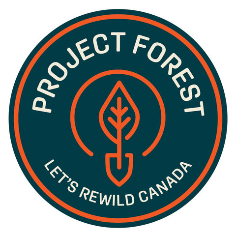 RZE URBANIST SOLAR PROJECT FOREST SPECIAL EDITION - LODGEPOLE PINE